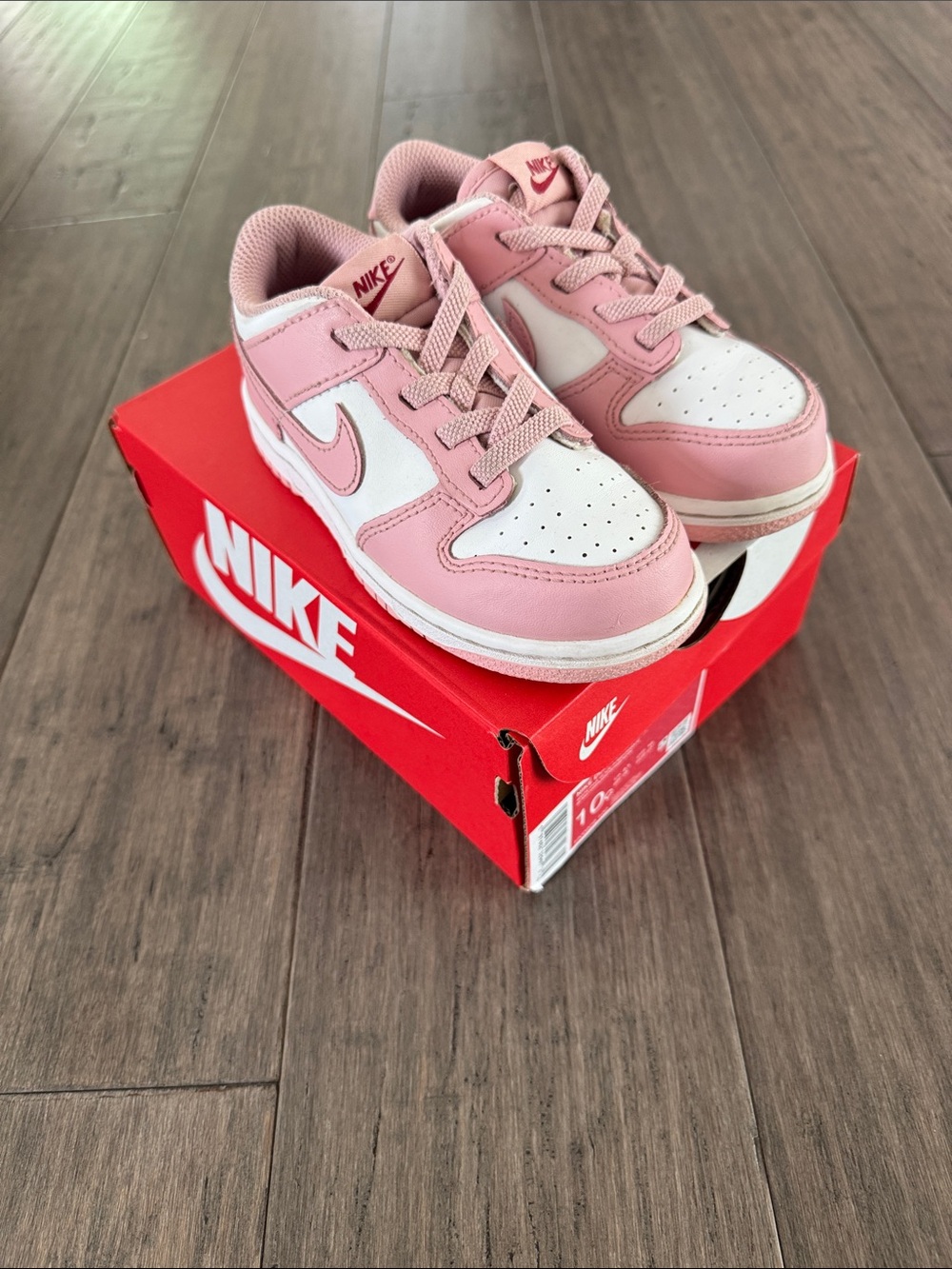 Nike low dunk toddler shoe
